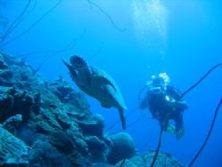 Canon Powershot S50 Curacao Netherlands Antilles.Director... by Frank Jong 
